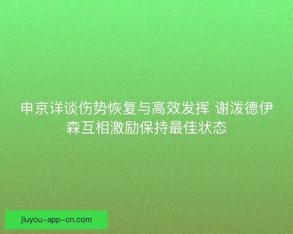 申京详谈伤势恢复与高效发挥 谢泼德伊森互相激励保持最佳状态 申京详谈伤势恢复与高效发挥 谢泼德伊森互相激励保持最佳状态