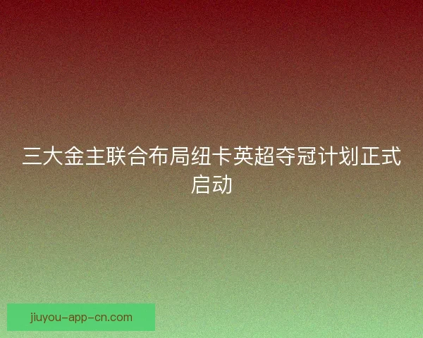 三大金主联合布局纽卡英超夺冠计划正式启动